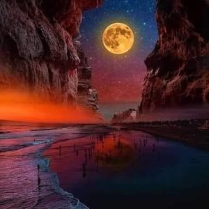 Meet your Posher, Dennis